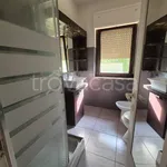 Rent 2 bedroom apartment of 60 m² in Roma