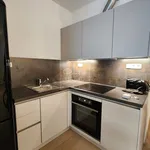 Rent 2 bedroom apartment of 58 m² in Capital City of Prague