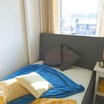 Rent a room of 87 m² in munich