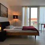 Rent 1 bedroom apartment of 28 m² in Karlsruhe