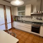 Rent 5 bedroom apartment of 130 m² in Massa