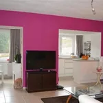 Rent 1 bedroom apartment in Namur