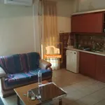 Rent 1 bedroom apartment of 5600 m² in Thessaloniki Municipal Unit