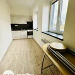 Rent 1 bedroom apartment in Opava