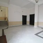 Rent 2 bedroom apartment of 52 m² in Napoli