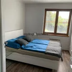 Pronájem bytu 2+1 50m²