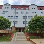 Rent 3 bedroom apartment of 80 m² in Warszawa