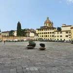 Rent 1 bedroom apartment in Florence