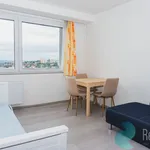 Rent 1 bedroom apartment in Praha 8