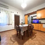 Rent 1 bedroom apartment of 50 m² in catanzaro