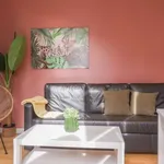 Rent 1 bedroom apartment in madrid