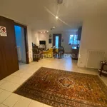 Rent 5 bedroom house of 207 m² in Piacenza