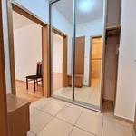 Rent 1 bedroom apartment in Brno