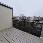 Huur 2 slaapkamer appartement van 55 m² in Den Haag