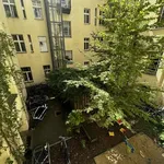 Rent 1 bedroom apartment in berlin