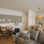 Rent 1 bedroom apartment in lisbon