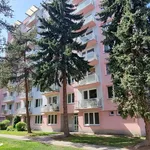 Rent 2 bedroom apartment of 63 m² in České Budějovice