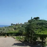 Rent 2 bedroom apartment of 57 m² in Sanremo