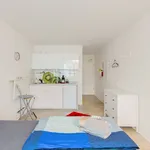 Rent 1 bedroom apartment of 22 m² in Cologne