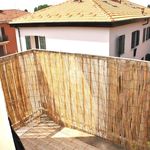 Rent 1 bedroom apartment of 20 m² in Bologna