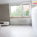 Rent 1 bedroom apartment in Brno