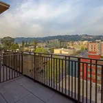 Rent 1 bedroom apartment in Berkeley