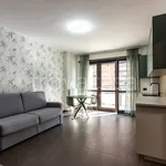 Rent 1 bedroom apartment of 35 m² in Sesto San Giovanni