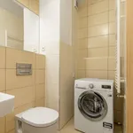 Rent 1 bedroom apartment of 26 m² in Prague