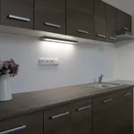 Rent 2 bedroom apartment in Litoměřice