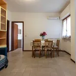 Rent 2 bedroom apartment of 50 m² in Camaiore