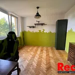 Rent 4 bedroom apartment of 101 m² in Brno