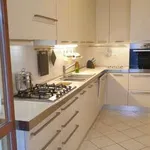 Rent 4 bedroom apartment of 270 m² in Grosseto