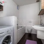 Rent 3 bedroom apartment of 60 m² in Praha