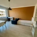 Rent 1 bedroom apartment in Leuven