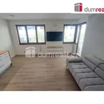 Rent 3 bedroom apartment of 72 m² in Praha