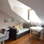 Rent 1 bedroom apartment of 30 m² in Turin