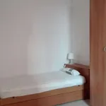 Rent a room in bologna