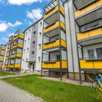 Rent 2 bedroom apartment of 55 m² in Pirna