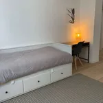 Rent a room in brussels