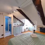 Rent 1 bedroom apartment of 38 m² in Torino