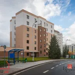 Rent 1 bedroom apartment in Náchod