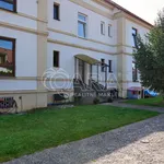 Rent 1 bedroom apartment of 37 m² in Králův Dvůr