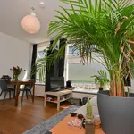 Rent 2 bedroom apartment of 30 m² in Groningen