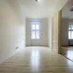 Rent 2 bedroom apartment of 58 m² in Brno