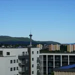 Rent 2 bedroom apartment of 46 m² in Trondheim