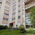 Rent 1 bedroom apartment of 40 m² in Limoges