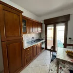 Rent 2 bedroom apartment of 55 m² in Nettuno