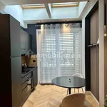 Rent 1 bedroom apartment of 40 m² in Turin