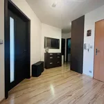 Rent 3 bedroom apartment of 85 m² in Ostrava