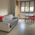 2-room flat via dei Cappuccini, Carraia - Torricelli, Empoli